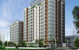 Lancor Kiruba Cirrus